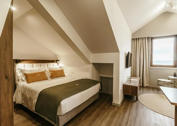 Royal Collection Covilhã